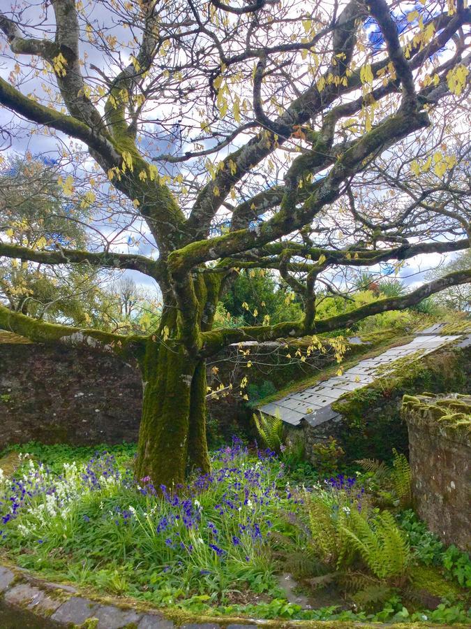 Willowhill House Minane Bridge Extérieur photo