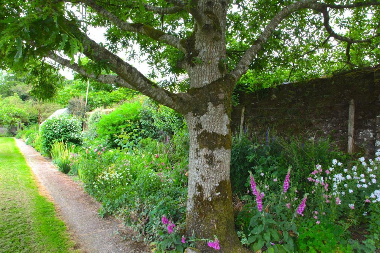 Willowhill House Minane Bridge Extérieur photo